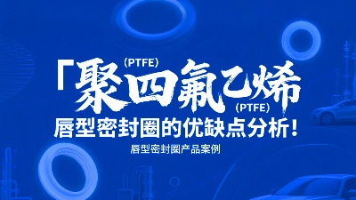 聚四氟乙烯（PTFE）唇型密封圈的優(yōu)缺點分析！