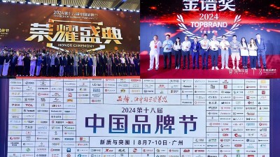 東晟密封件閃耀2024第十八屆中國品牌節(jié)，榮獲密封技術(shù)“金譜獎”