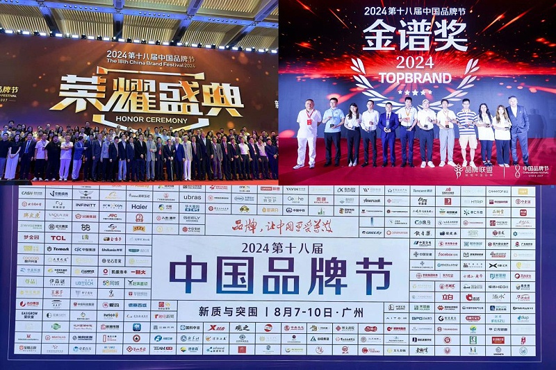 1東晟密封件閃耀2024第十八屆中國品牌節(jié)，榮獲密封技術“金譜獎”