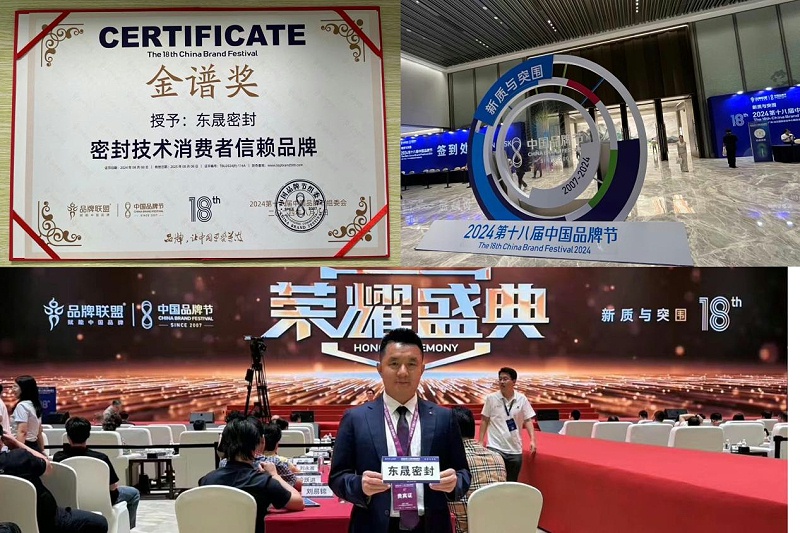 3東晟密封件閃耀2024第十八屆中國品牌節(jié)，榮獲密封技術“金譜獎”