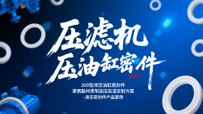 壓濾機(jī)200型液壓<i style='color:red'>油缸密封圈</i>！聚氨酯材質(zhì)耐高壓高溫定制方案