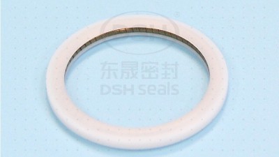 電機轉軸密封可以采用<i style='color:red'>ptb泛塞封密封圈</i>