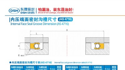 內壓端面密封溝槽尺寸