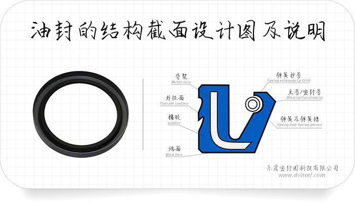 油封的結(jié)構(gòu)截面設(shè)計(jì)圖及密封件說明和密封圈產(chǎn)品實(shí)圖