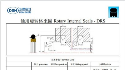 新版軸用旋轉格來圈DRS規(guī)格尺寸表
