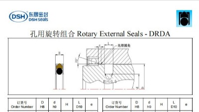 新版孔用旋轉組合密封圈DRDA規(guī)格尺寸表