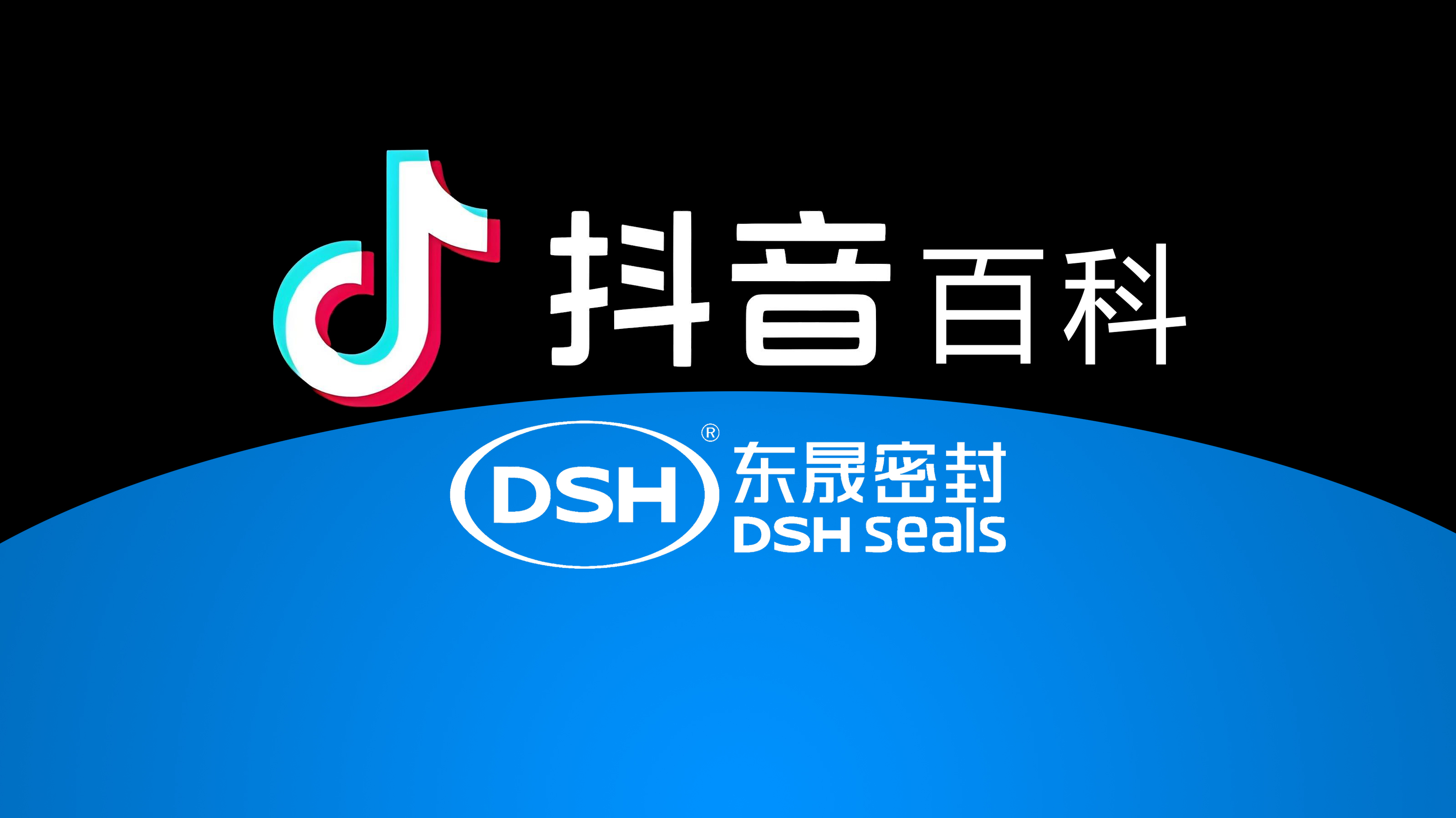 權(quán)威解讀，東晟密封件官方百科閃耀<i style='color:red'>抖音</i>！