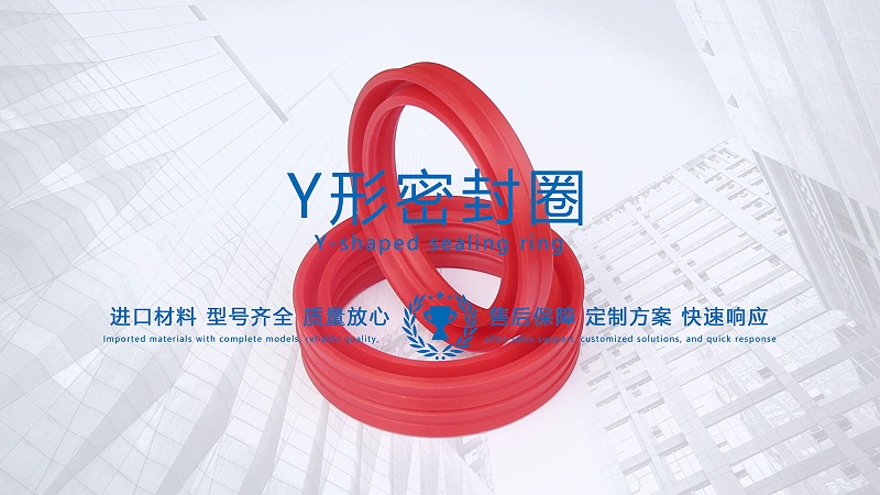 y型密封圈（又Y形密封圈，Y形圈，Y型圖或唇形密封圈，密封件油封膜片） (3)