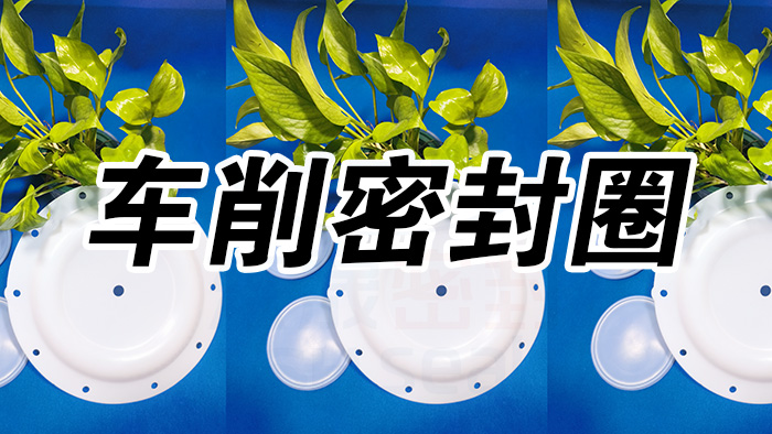 2車(chē)削密封圈，氣動(dòng)隔膜泵膜片密封件