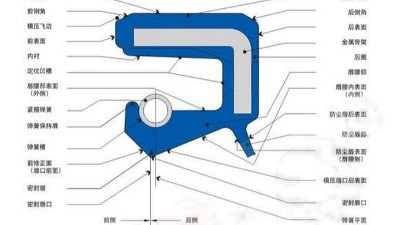 一個內(nèi)包<i style='color:red'>骨架密封圈</i>每個部位的名稱術(shù)語大全！！