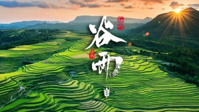 <i style='color:red'>谷雨</i>：春天的結(jié)束，生機(jī)的開始！